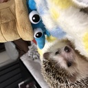 撃つな味方だ
