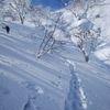 江丹別峠から653.6ｍ（鷹巣山・鷹泊山）、犬牛別山745.6ｍ