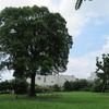 吉祥寺西公園（東京都武蔵野市）