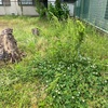 公園の草刈り