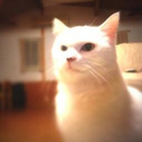 Nao's blog
