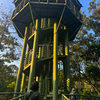 Hornbill Towerの別世界