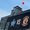 今月　甲子園負け無し阪神タイガース！