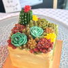 多肉植物の寄せ植え（フラワーケーキ）のワークショップ