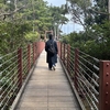 【伊豆高原おすすめスポットまとめ】城ヶ崎海岸・大室山・シャボテン公園で自然を満喫
