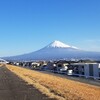 ここも久しぶり、三保の松原。