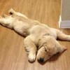 梅雨前線北上中、、、