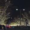 都会のイルミネーション