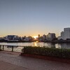 朝焼けを見に隅田川テラスまで行ってみた。両国橋〜新大橋〜萬年橋〜清洲橋。（中央区日本橋中洲）