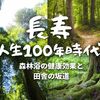 【長寿】100歳目前！母の元気の秘訣は森林のフィトンチッドと自然食、そして坂道