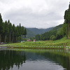 ため池下の不耕作地の草刈りなど