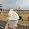 新潟市西区　いっぺこ～とアイス工房　ミルクとふきのとうのジェラートダブル