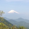 城山に登る