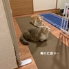 雨田甘夏、目の保養です。
