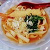 海老天うどん