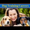 Canine Training DVD Video