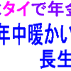 巨大地震津波の襲来が予想！自分の命は自分で守る！天災の無い、年中暖かい、一対一の介護が年金で可能！