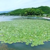 千代田湖〜太良ヶ峠〜古峠～牧丘