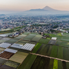 向原の朝景