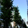 勝俣部長の「ため息」４９５７回････潜水減少現象化