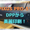 Canon「PIXUS PRO-S1」+「EOS R5」が完璧すぎる！②〜カメラ設定、DPP設定を活かしたプリントアウトへ〜