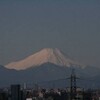 富士山とつぼみ