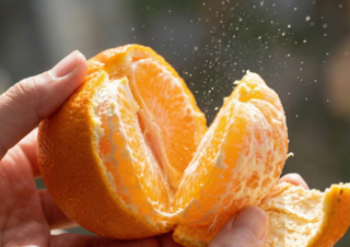 レモンと伊予柑、皮まで楽しむ大人の処方箋｜瀬戸内の旬