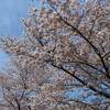 水戸偕楽園 花火大会 ２０２２年 日程 時間は？