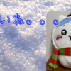 雪の積もらない街に。。。