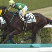 新冠名 レイワ のカッコイイ一番優勝馬名考えやつ