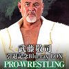 プロレスの興行を久しぶりに観たハナシ〈mata.〉