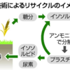 植物原料のプラスチックを肥料に