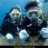 Diving the Okinawa sea with family!