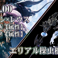 Mhw Ver5 00対応 ドラケンセットを活用した 会心100 達人芸 装備 無の探求