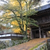 飛騨の紅葉　【往還寺】