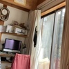 カーテンをのぼる猫