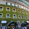 【今年の暑くて熱い🌻熱闘甲子園】甲子園球場に行ってみよう⚾️ゆこの気ままな高校野球観戦📣