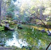 西芳寺-美しい苔で覆われた世界遺産の庭園と「心」字の池