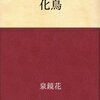化かされて、愉快いな―泉鏡花「化鳥」