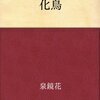 化かされて、愉快いな―泉鏡花「化鳥」