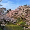 振り返りの桜、花見散歩 あちこち歩いて写したまとめ