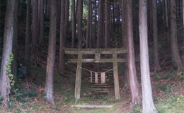 記事を見る