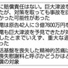  津波対策、国の責任否定　「原発事故を回避できなかった可能性」 - 東京新聞(2017年9月23日)