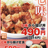 パクってしまったぜ『七味から揚げ丼』