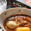 （95）札幌らっきょ×ハウス食品「スープカレーの匠」