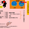 心臓外導管フォンタンの合併症　福岡の論文