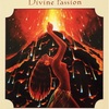 ペレ 神聖な情熱  PELE Divine Passion 