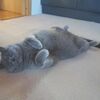 あくび３連発。。。
