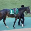 2013 東京スポーツ杯2歳S