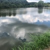 今週の釣果報告🎣茨城県土浦市某池